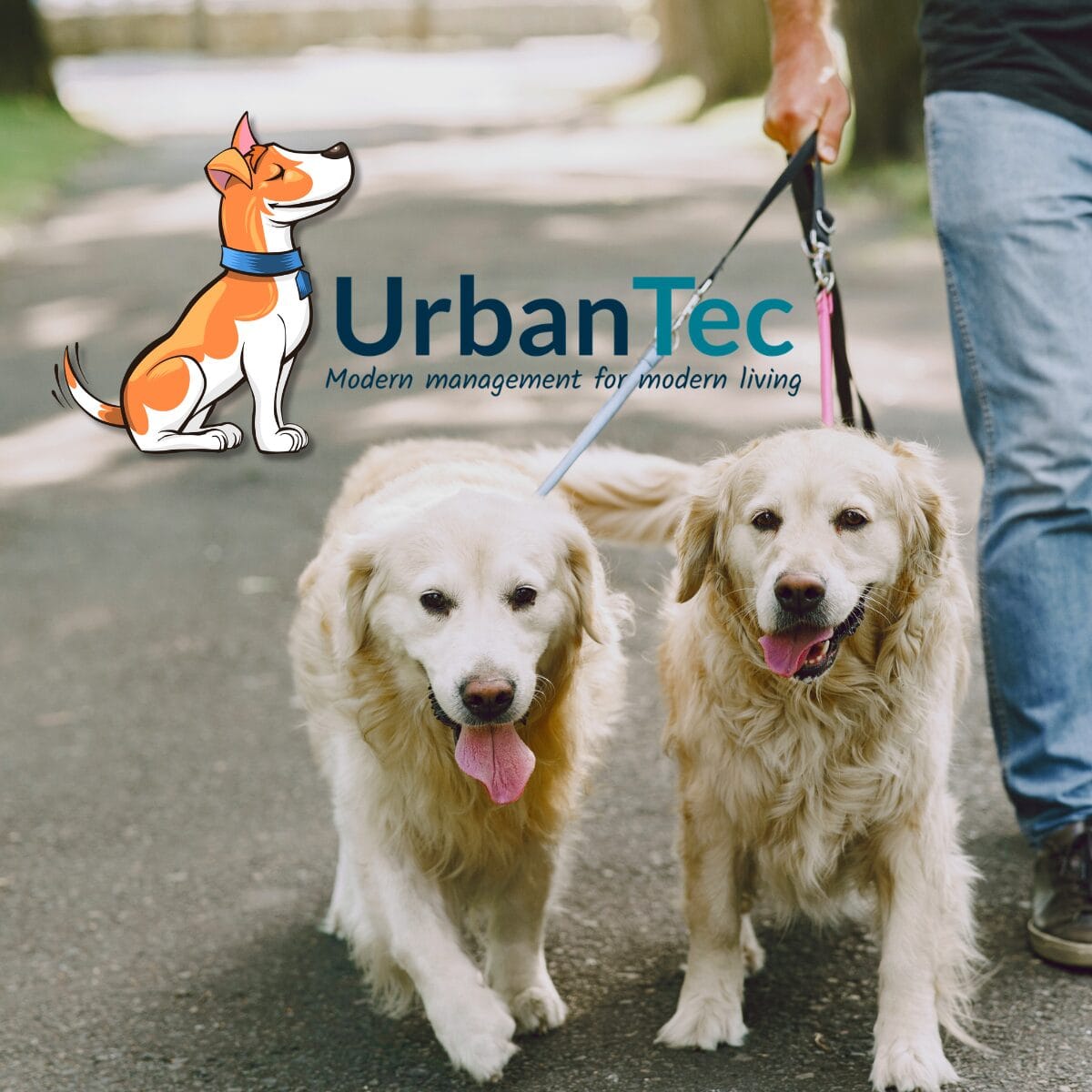 Want to Get a Pet? Here's What Calgary Condo Owners Need to Know First